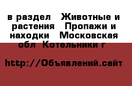  в раздел : Животные и растения » Пропажи и находки . Московская обл.,Котельники г.